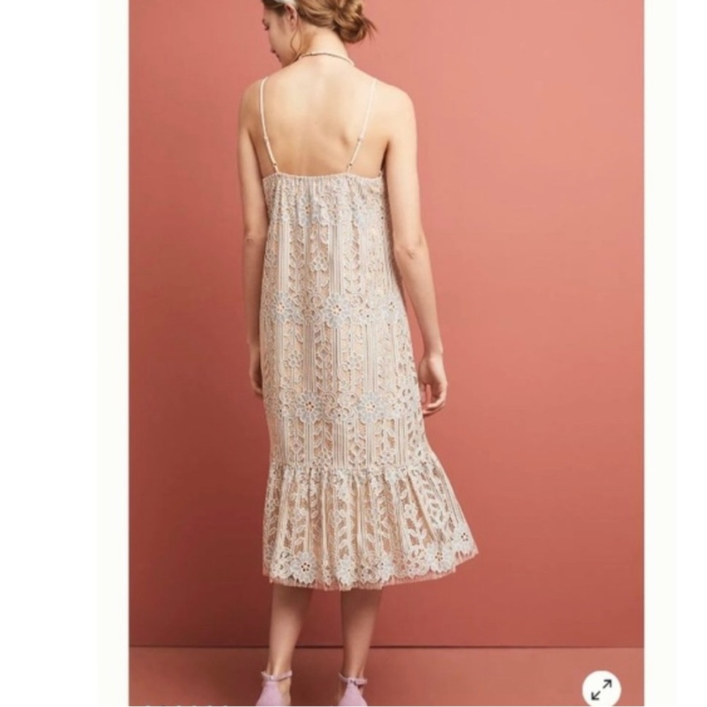 Anthropologie ELI + ALI twilight lace dress (S)